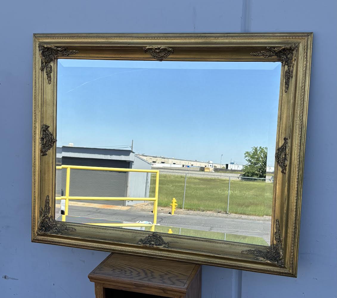 Large Gold Silverwood Products by Costco Wood Carved Gold mirror